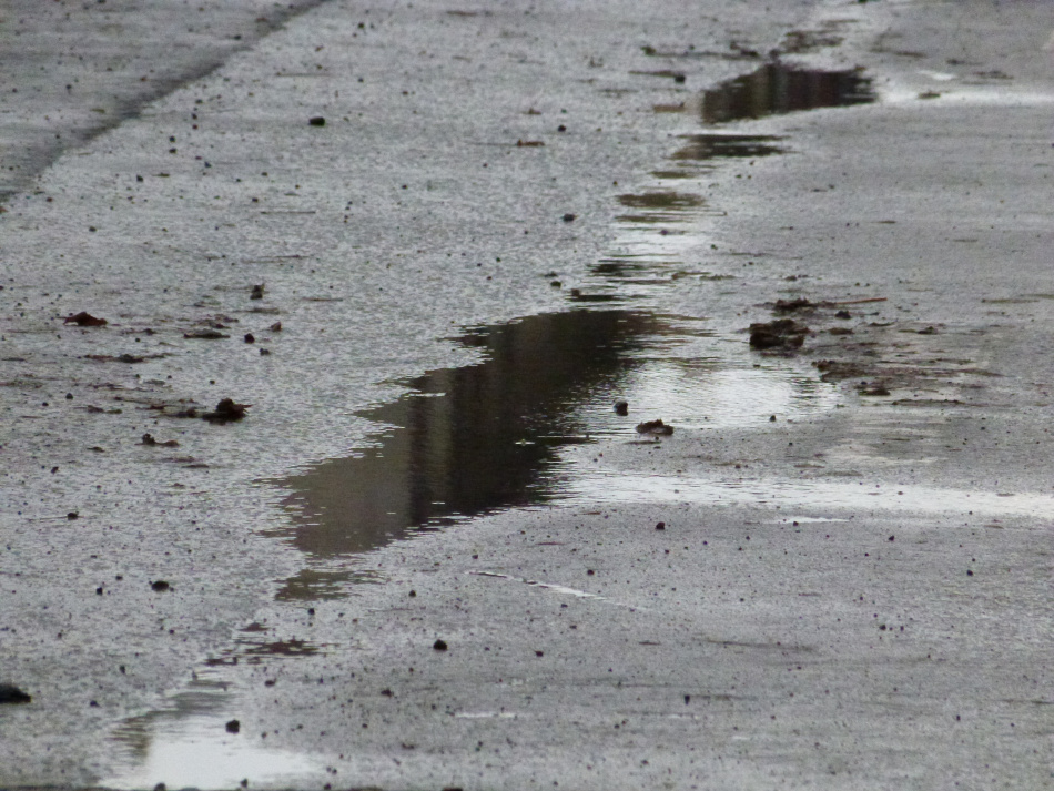 В Курортном районе Петербурга стартует масштабная реконструкция дороги к Сертолово